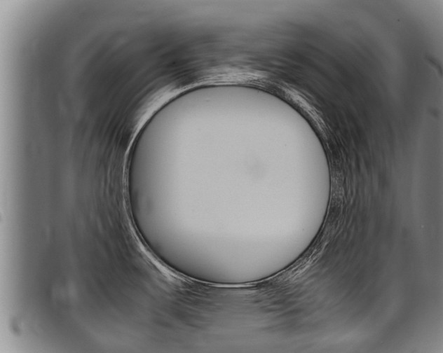 X0000098121487200804040812