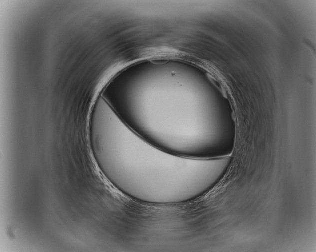 X0000098121488200804040812