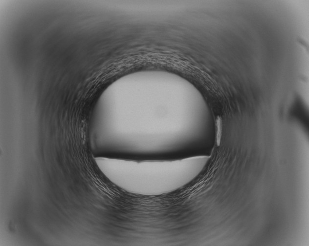 X0000098121491200804040812