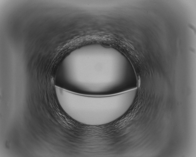X0000098121492200804040812