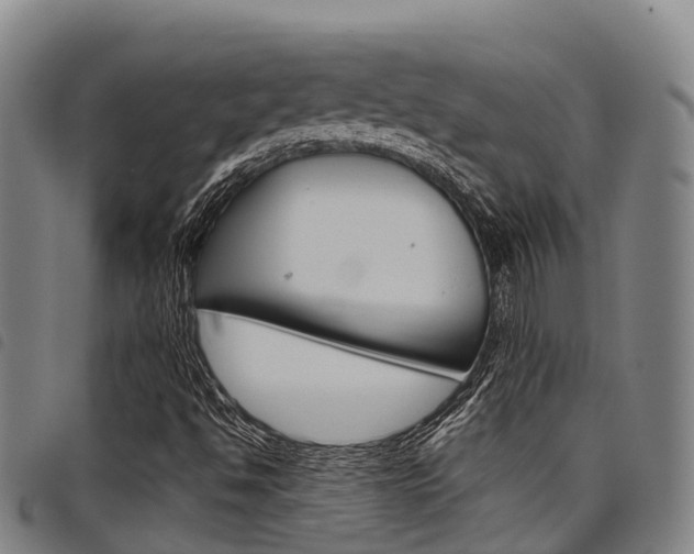 X0000098121494200804040812
