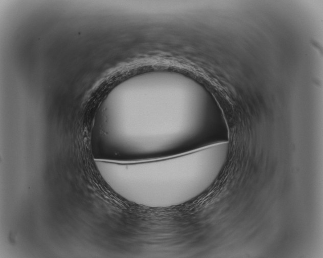 X0000098121495200804040812