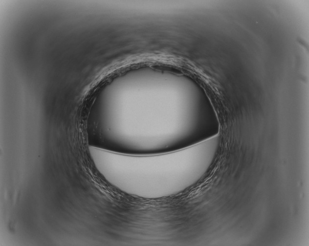 X0000098121496200804040812