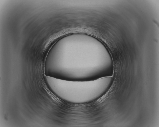X0000098121499200804040812
