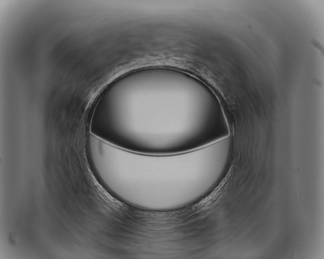 X0000098121500200804040812