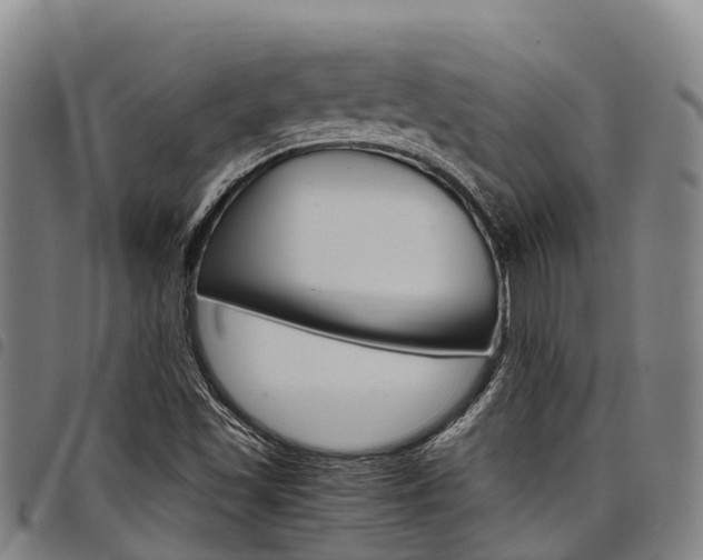 X0000098121501200804040812