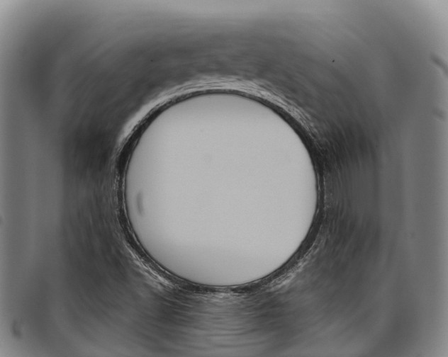 X0000098121502200804040812