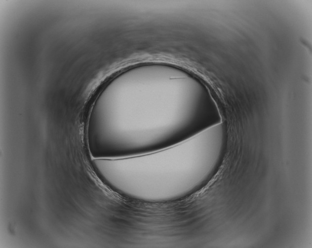 X0000098121503200804040812