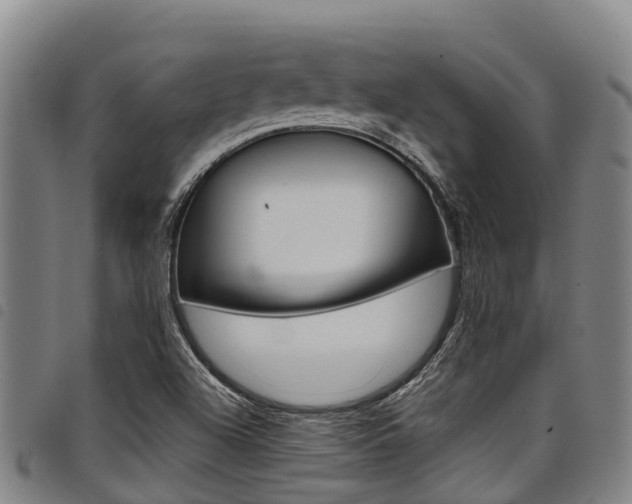 X0000098121504200804040812