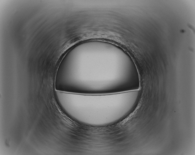 X0000098121505200804040812