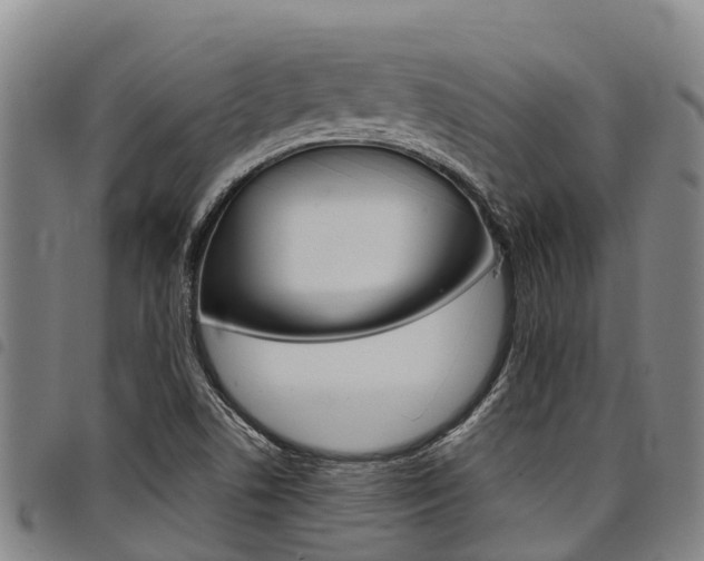 X0000098121506200804040812