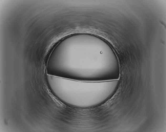 X0000098121507200804040812