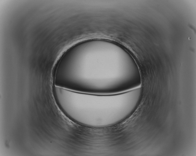 X0000098121508200804040812