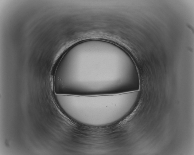 X0000098121509200804040812