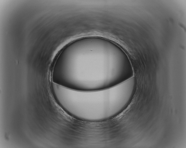 X0000098121510200804040812