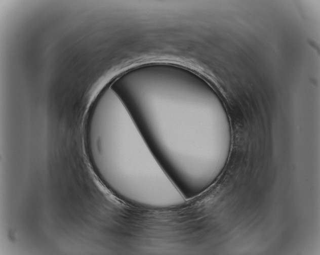 X0000098121511200804040812