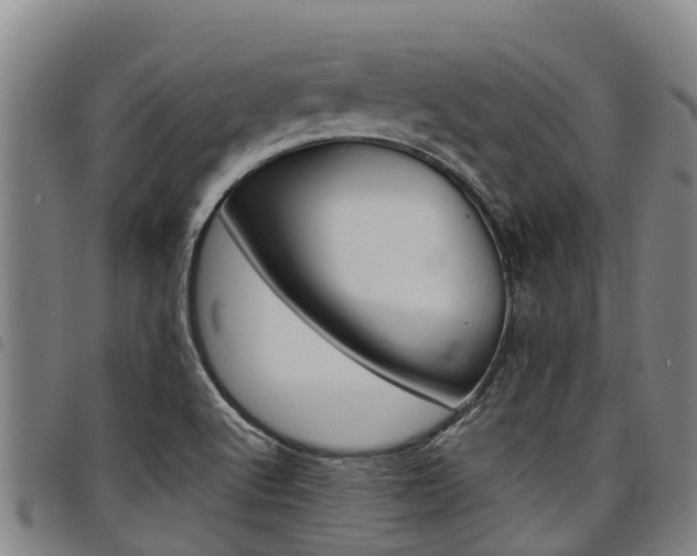 X0000098121512200804040812