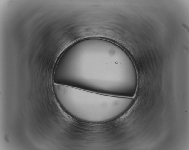 X0000098121513200804040812