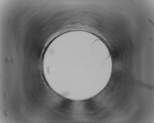 X0000098121514200804040812