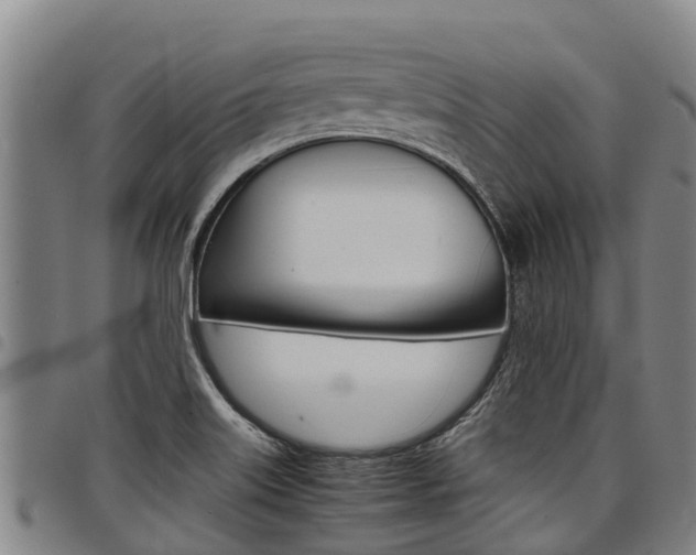 X0000098121515200804040812