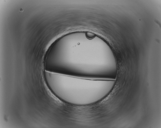 X0000098121518200804040812