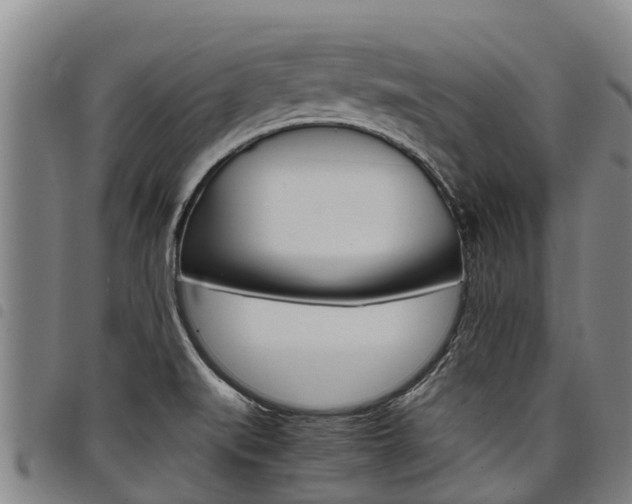 X0000098121519200804040812