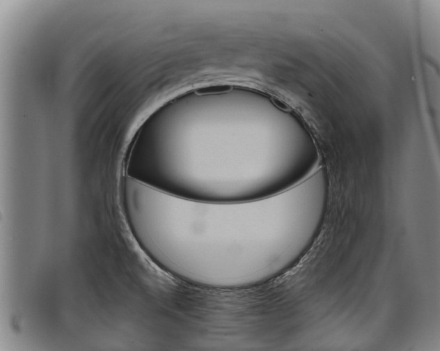 X0000098121520200804040812