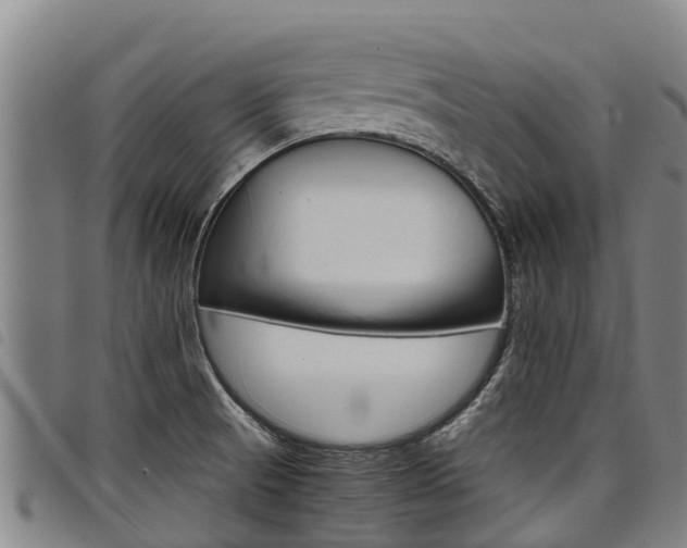 X0000098121521200804040812