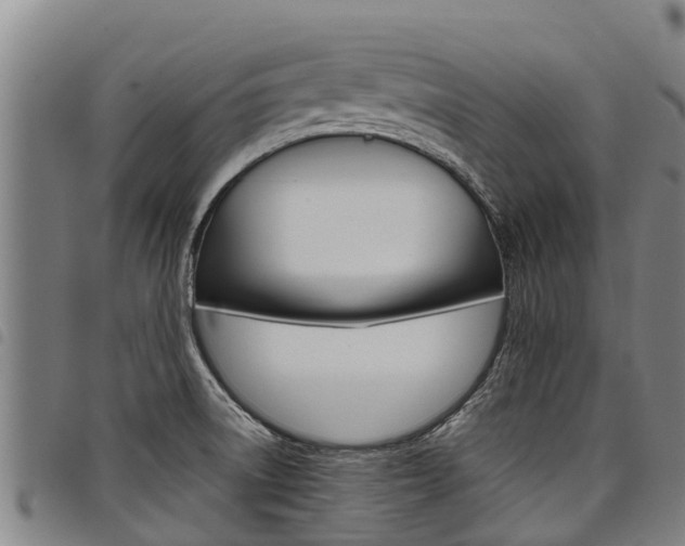 X0000098121522200804040812