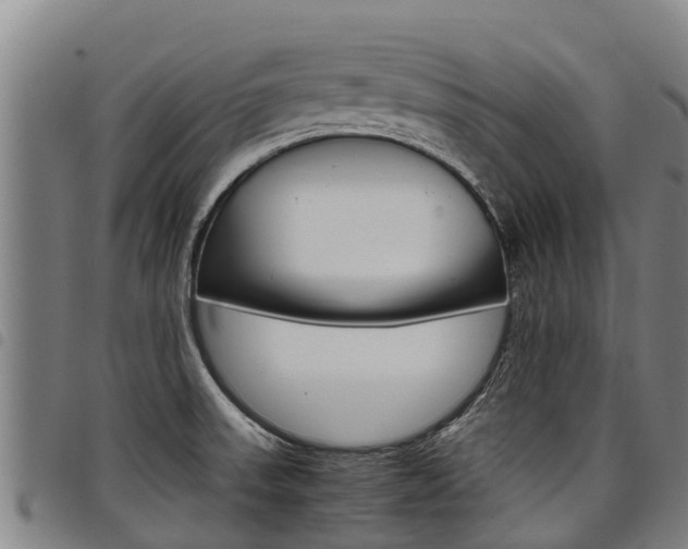 X0000098121523200804040812