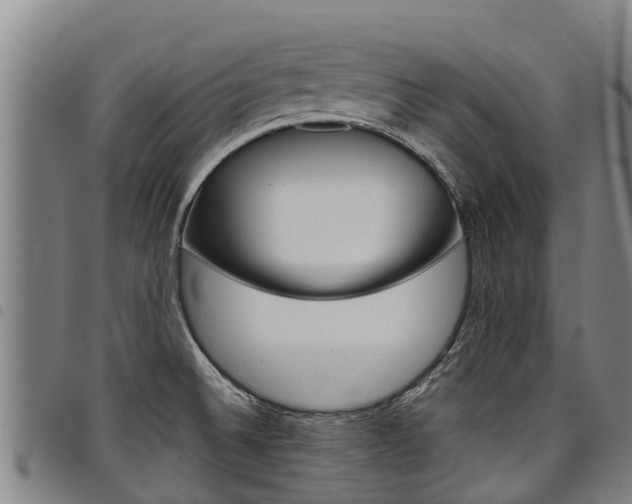X0000098121524200804040812