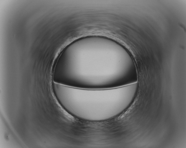 X0000098121525200804040812