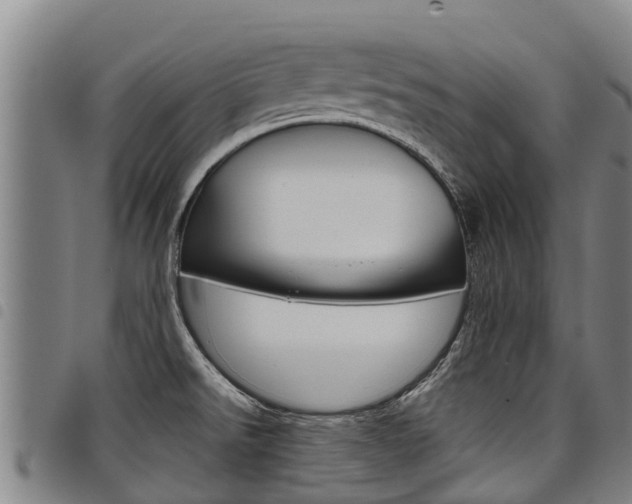 X0000098121526200804040812