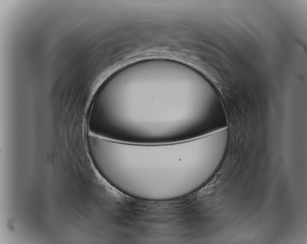 X0000098121527200804040812