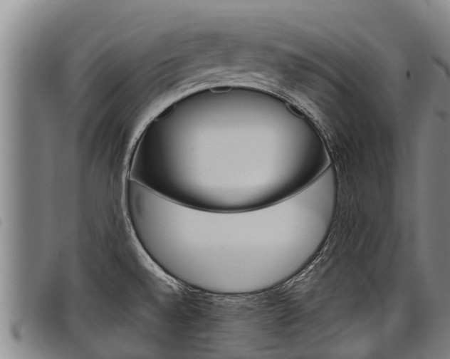 X0000098121528200804040812