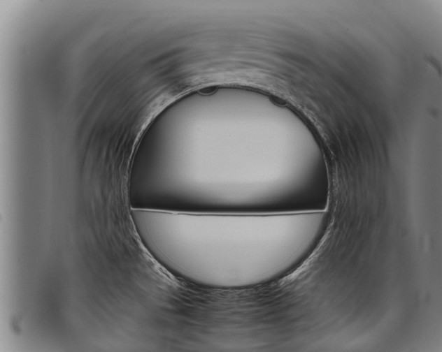 X0000098121529200804040812