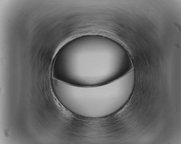 X0000098121530200804040812