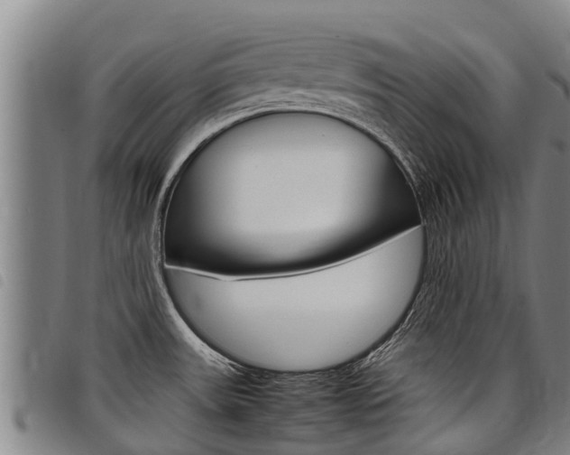 X0000098121531200804040812