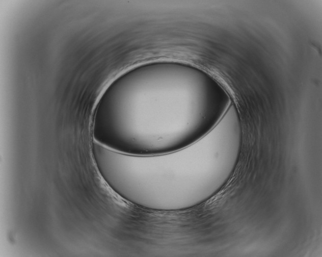 X0000098121532200804040812