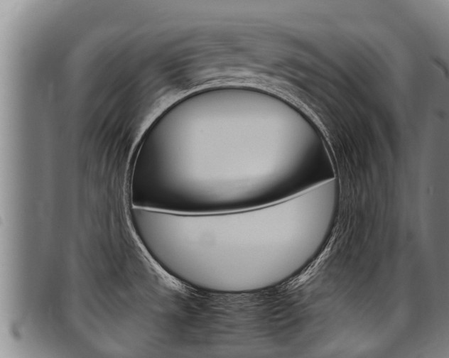 X0000098121533200804040812