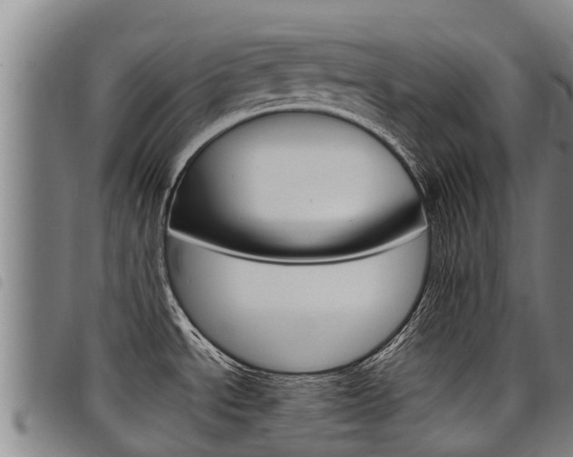 X0000098121534200804040812