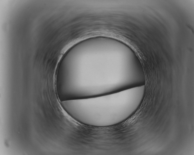 X0000098121535200804040812