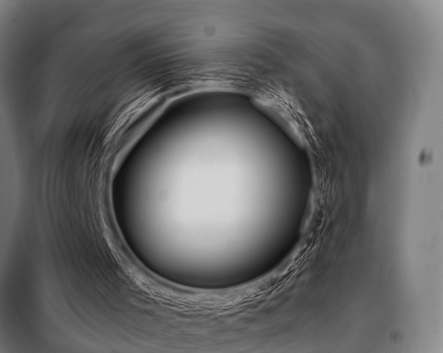 X0000098120001200804041418