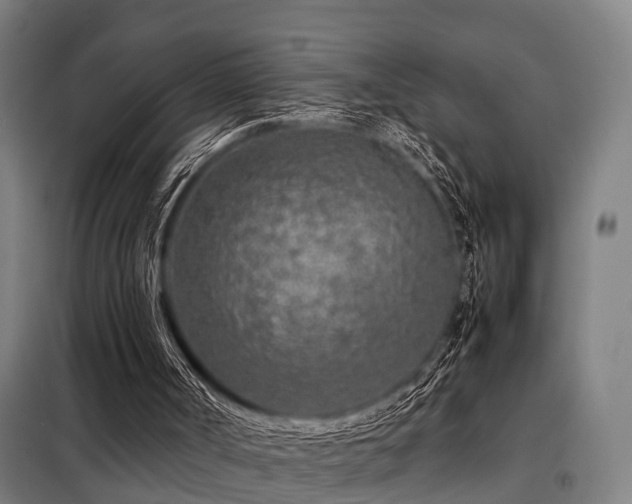 X0000098120002200804041418