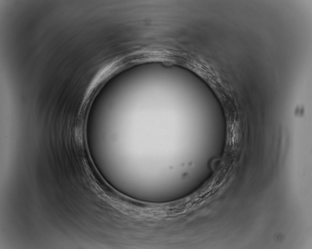 X0000098120004200804041418