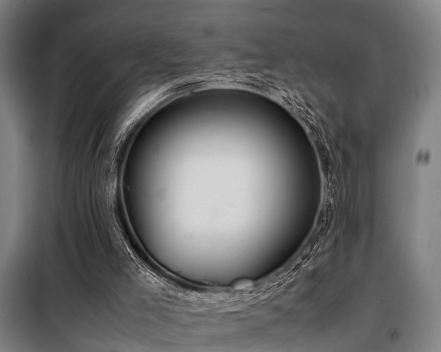 X0000098120005200804041418