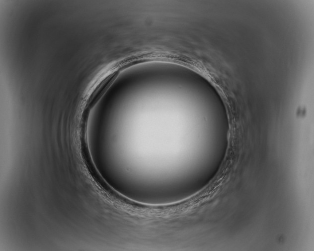 X0000098120007200804041418