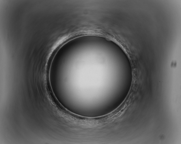 X0000098120008200804041418