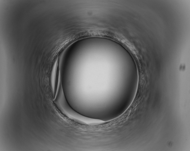 X0000098120009200804041418