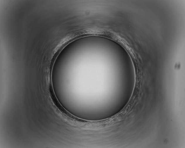 X0000098120011200804041418